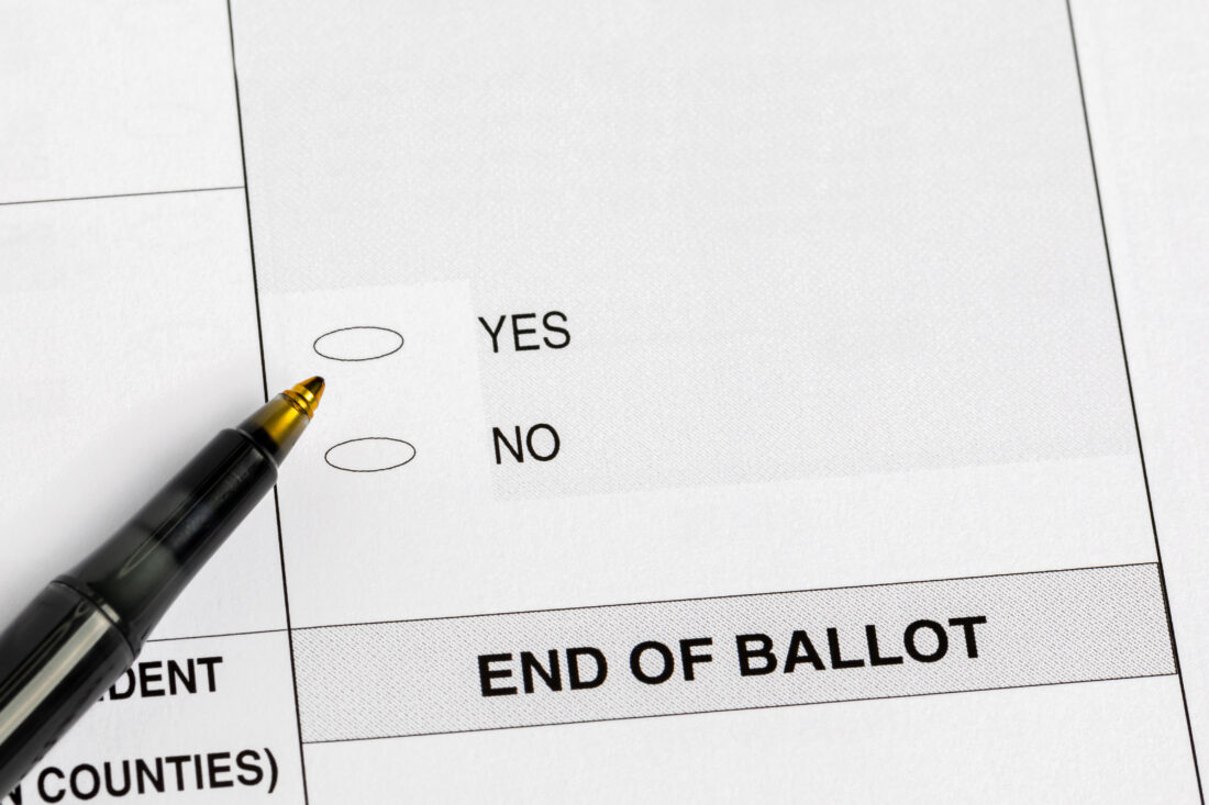 Voters turn out big when there’s a question on the ballot, so why don’t the feds or state allow more of them?